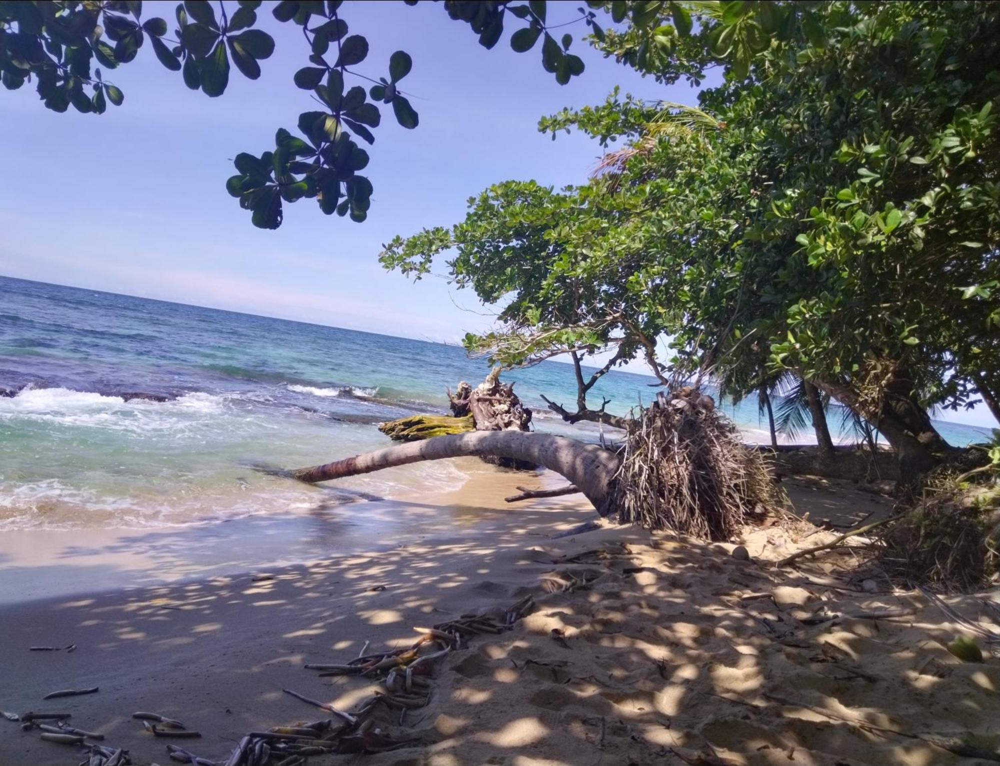 Serenity Houses Cahuita Ngoại thất bức ảnh