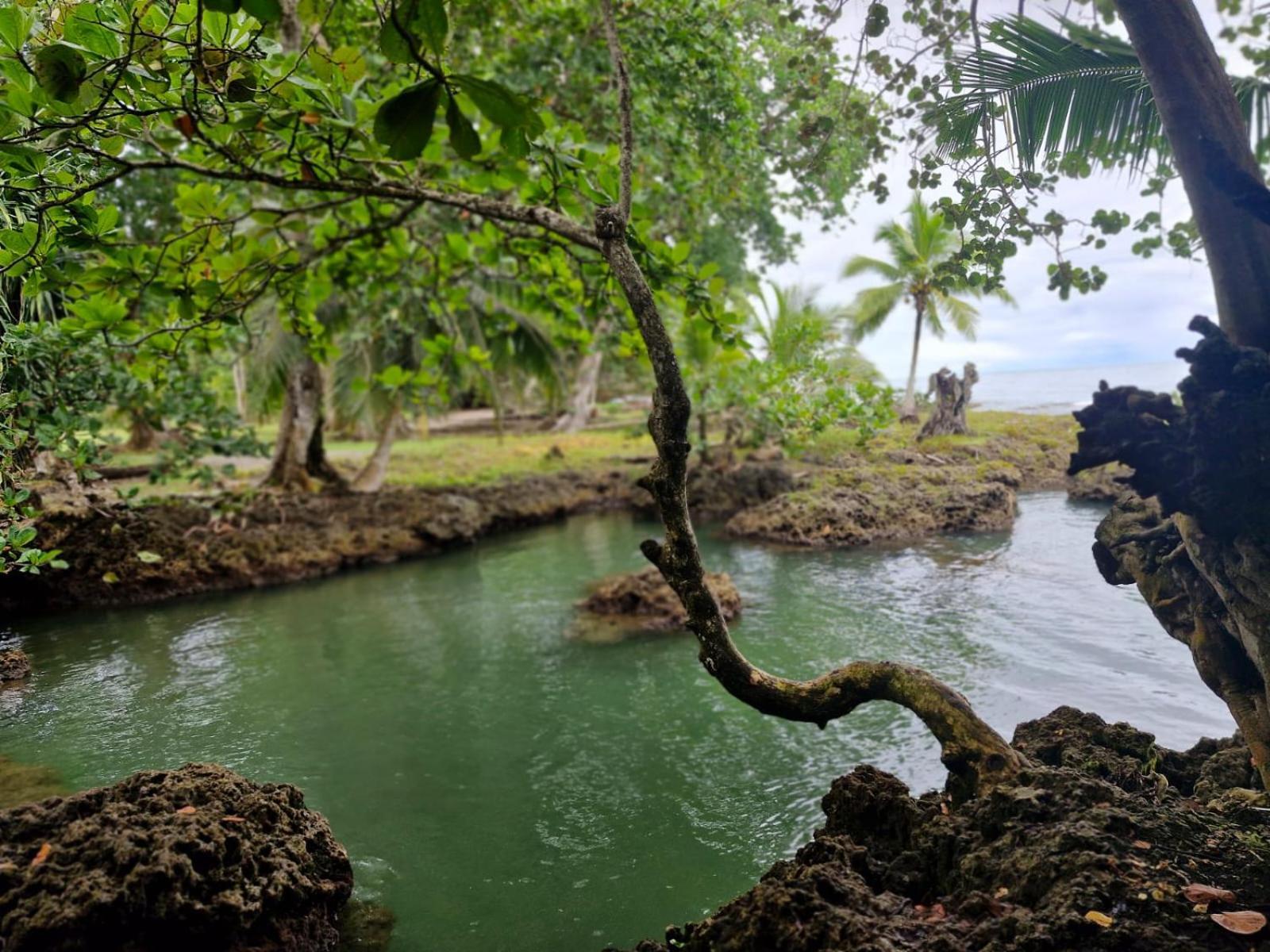 Serenity Houses Cahuita Ngoại thất bức ảnh